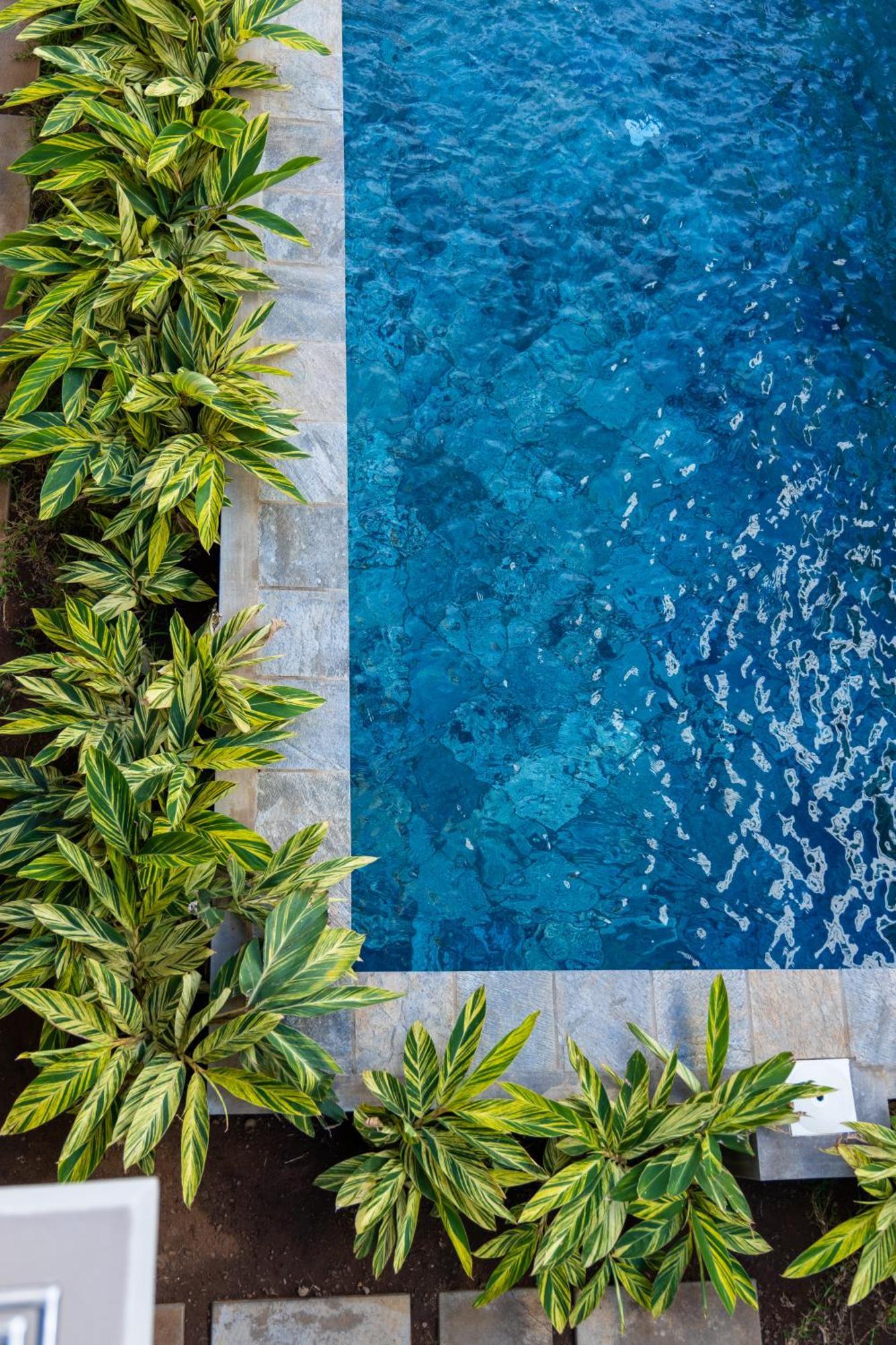 Luxury Tropical Oasis 3 Bedroom With Pool Close To Apartment Flic en Flac